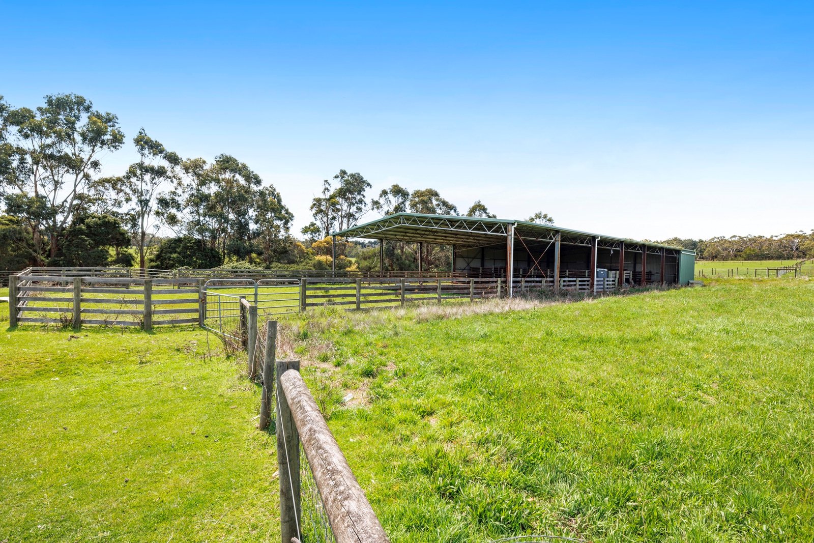 50 Foxeys Road, Tuerong, 3915