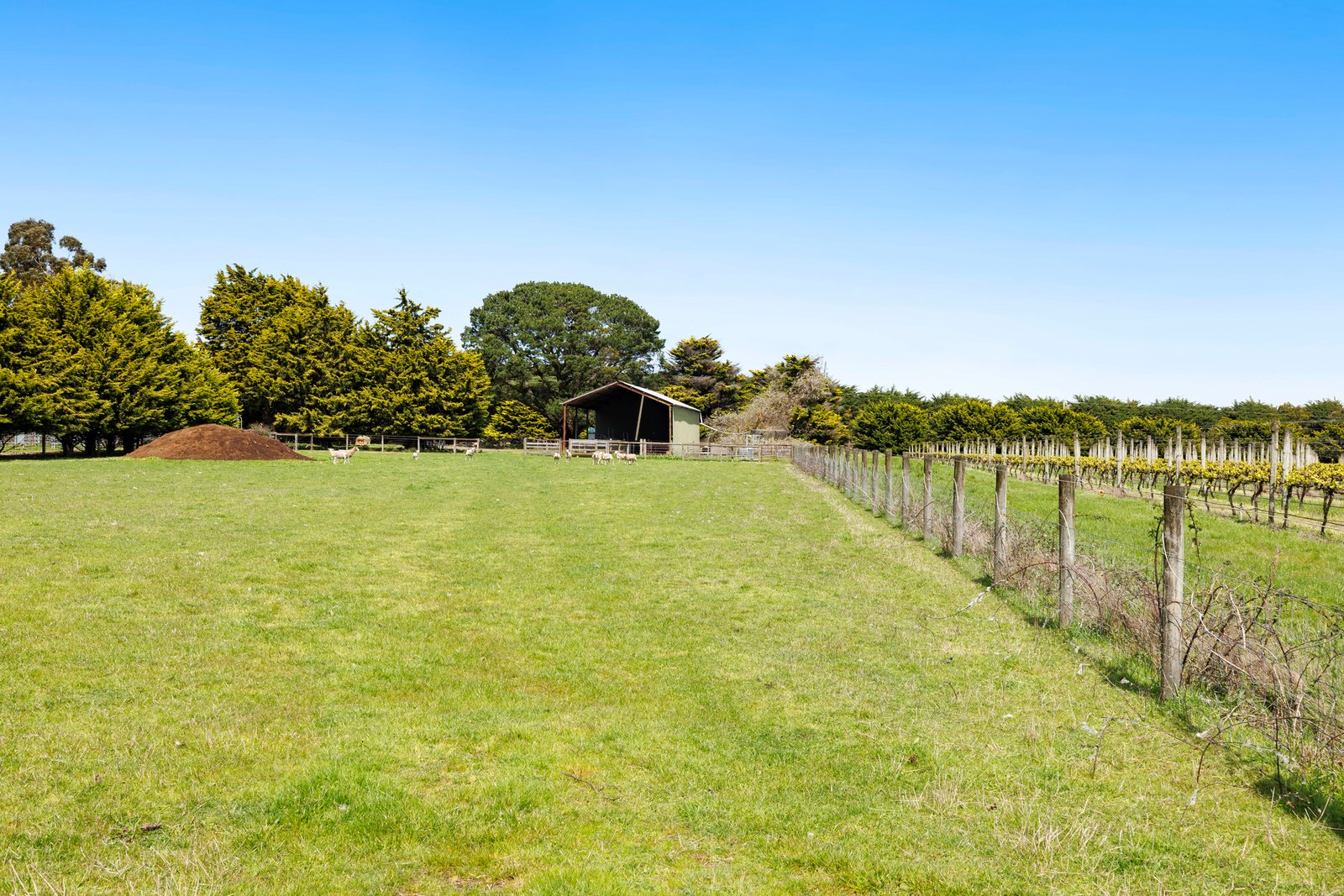 50 Foxeys Road, Tuerong, 3915