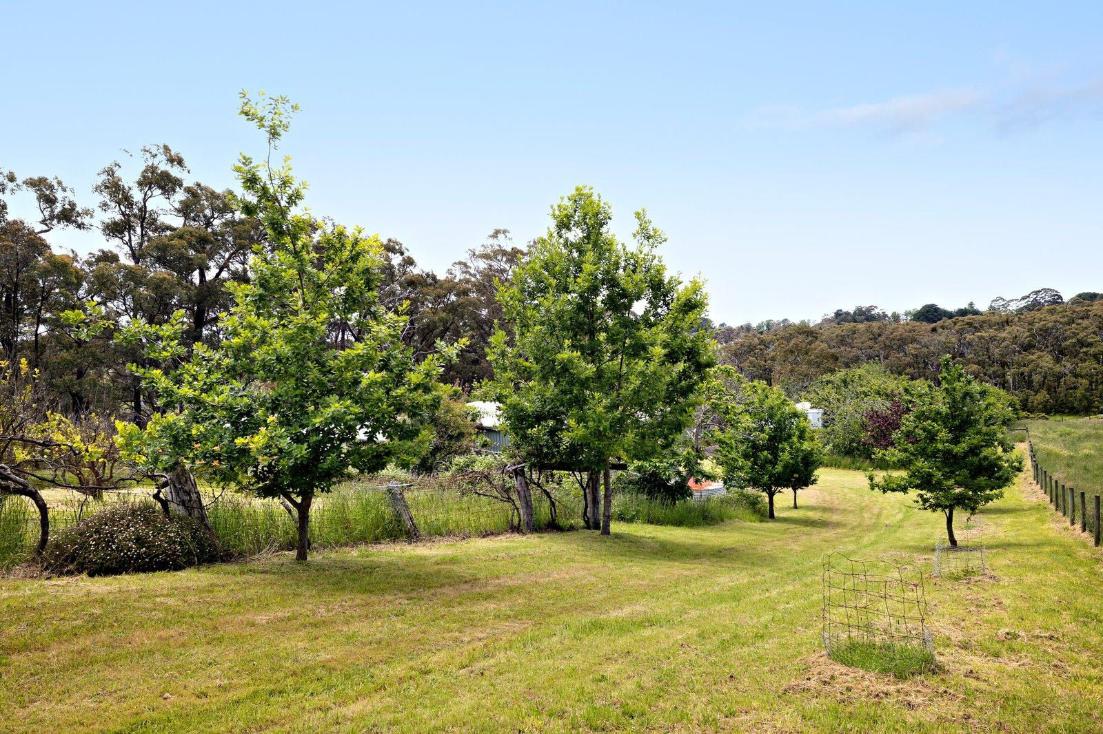 70 Andrews Lane, Red Hill, 3937