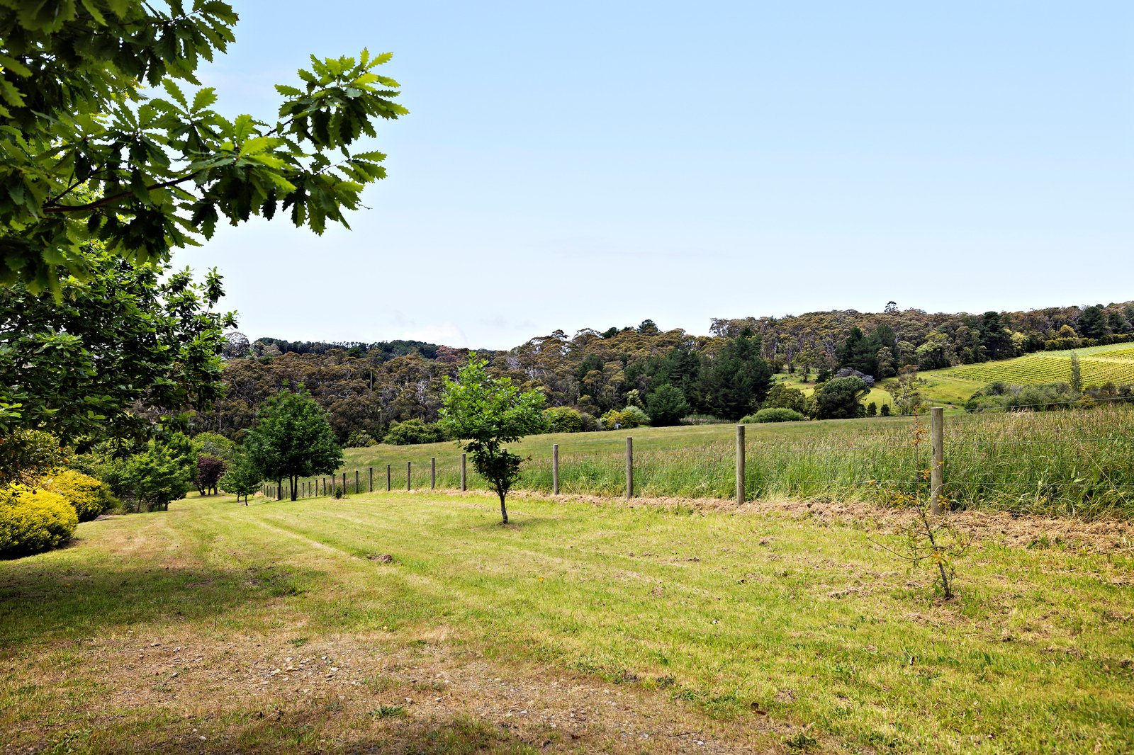 70 Andrews Lane, Red Hill, 3937