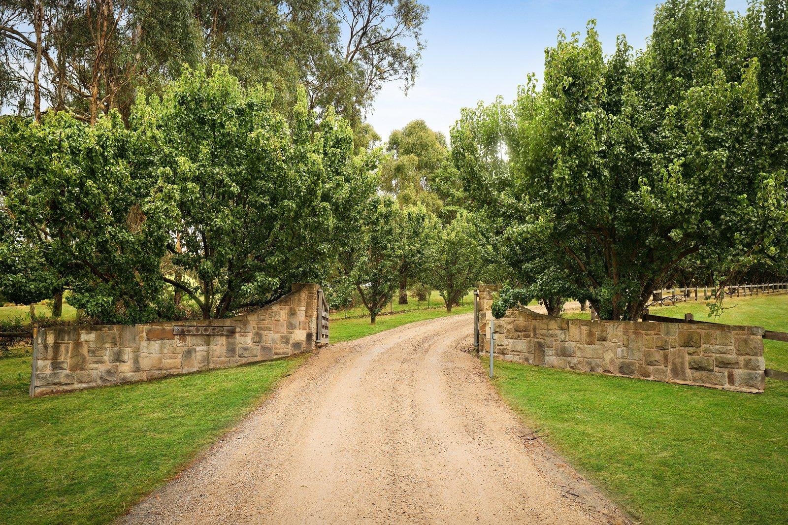 90 Thompsons Lane, Merricks, 3916