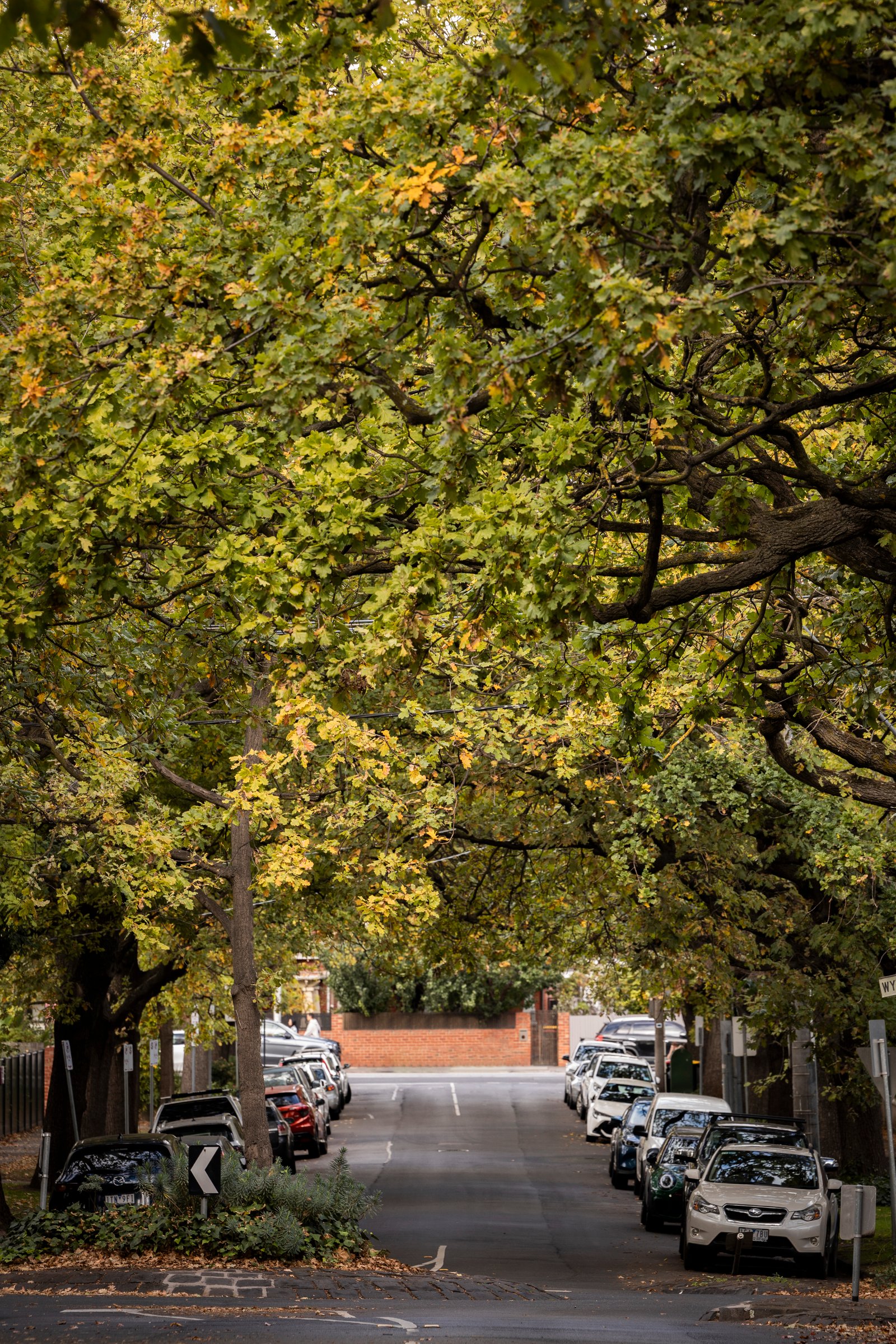 Chomley Terraces