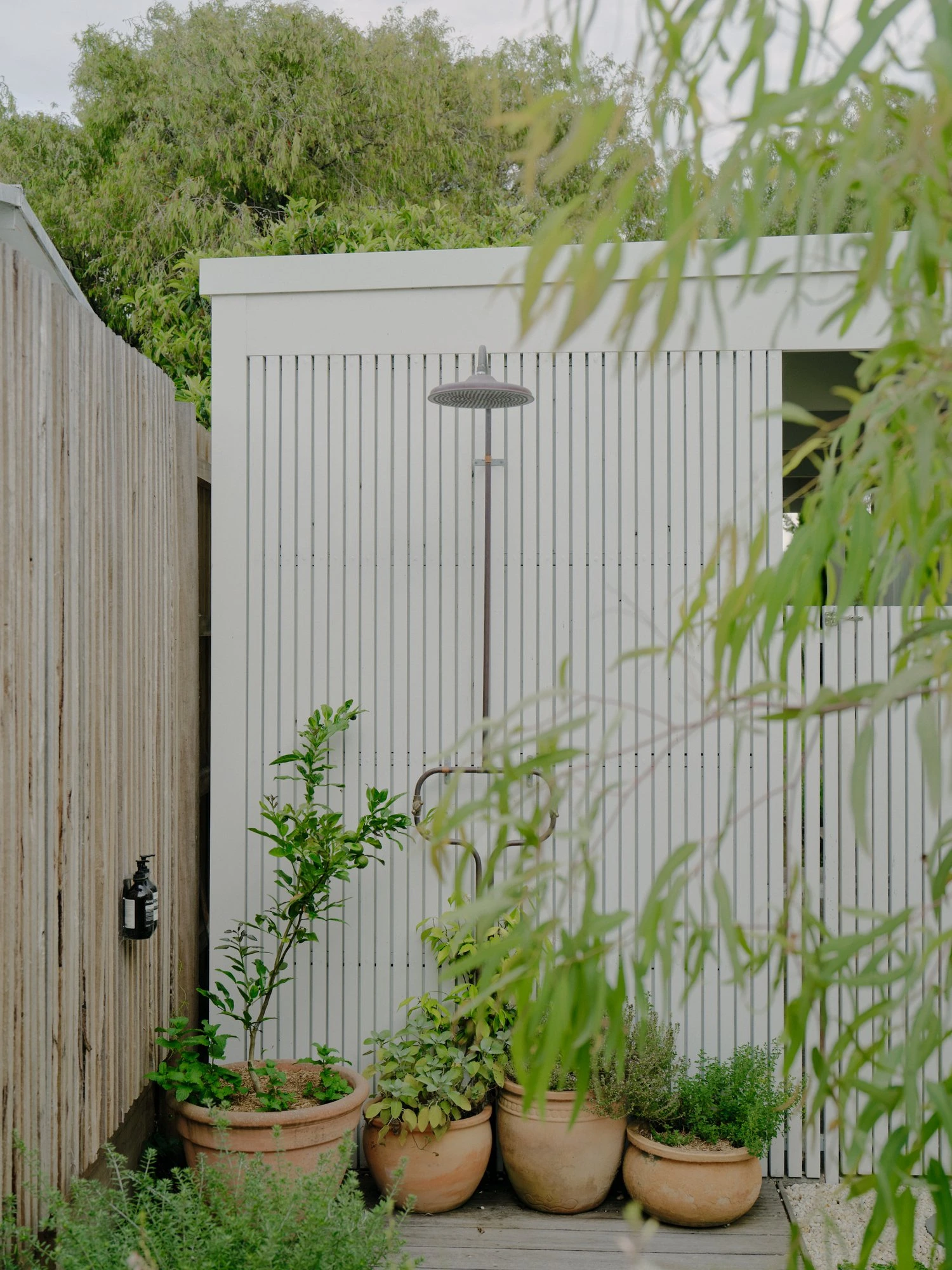 12 Tern Avenue, Capel Sound, 3940