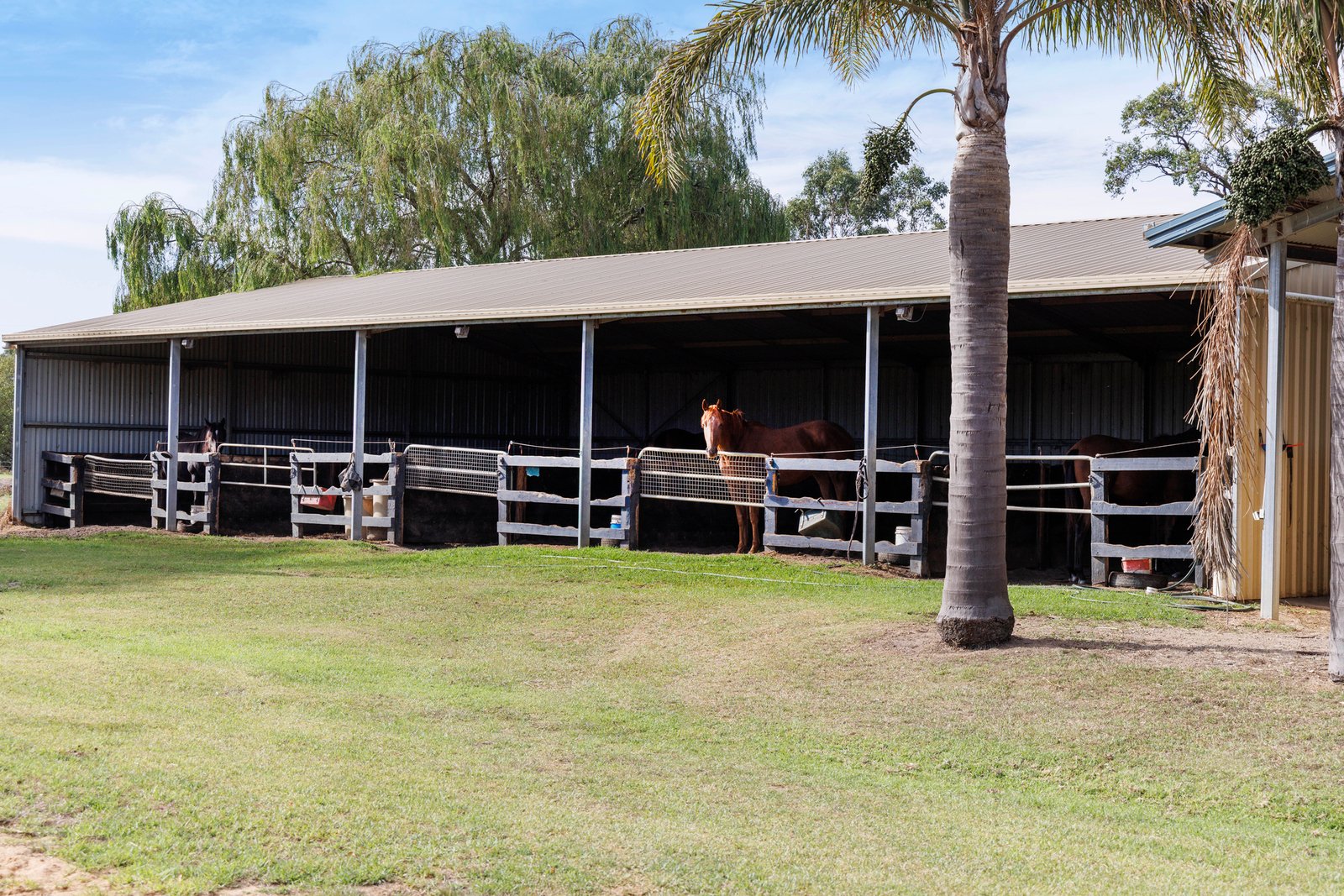 1266 Stumpy Gully Road, Moorooduc, 3933