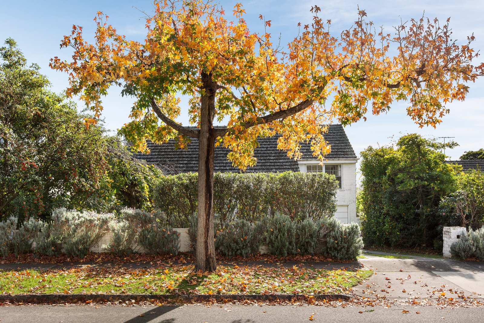 13 Willis Street, Balwyn North, 3104