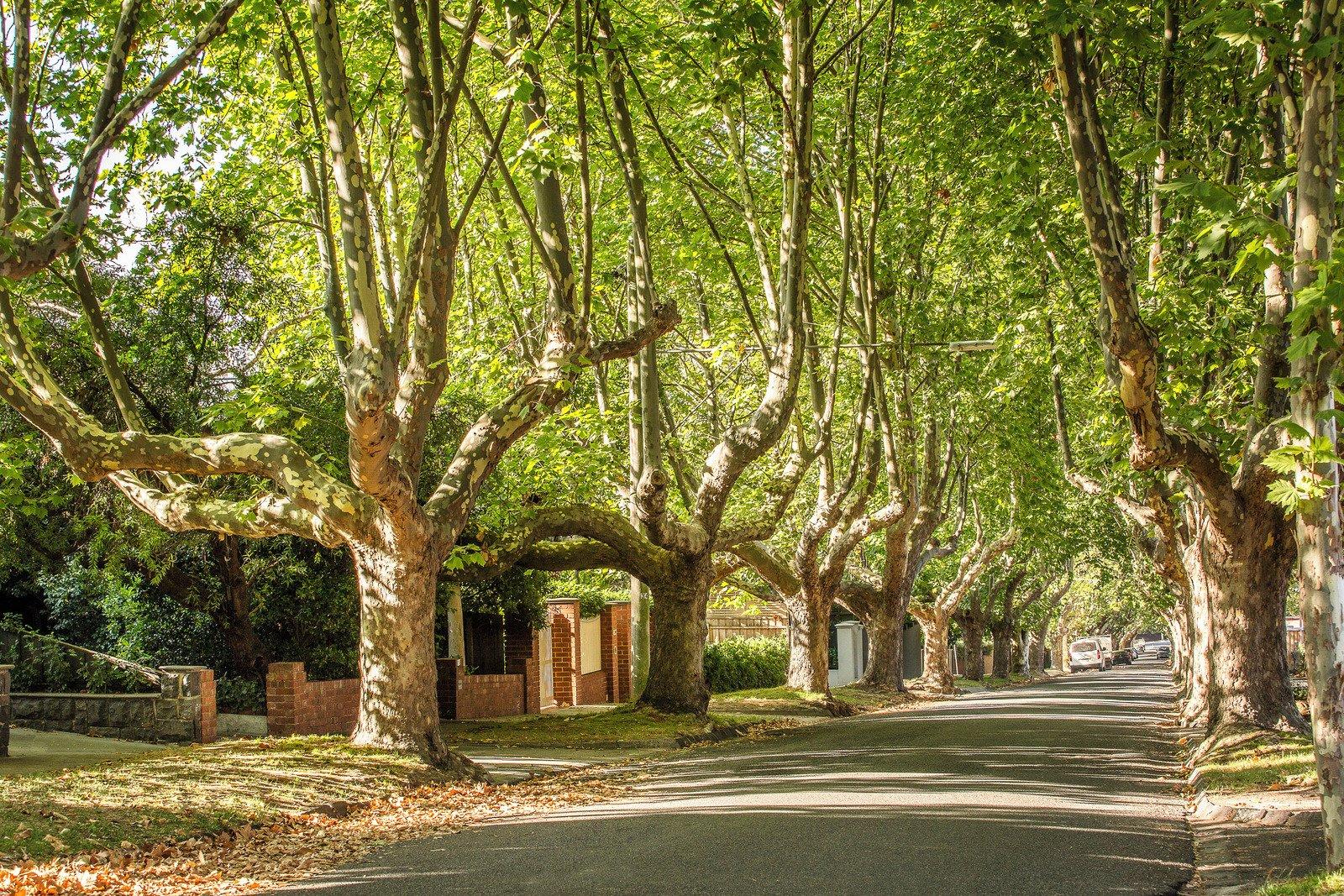 15 Peverill Street, Deepdene, 3103
