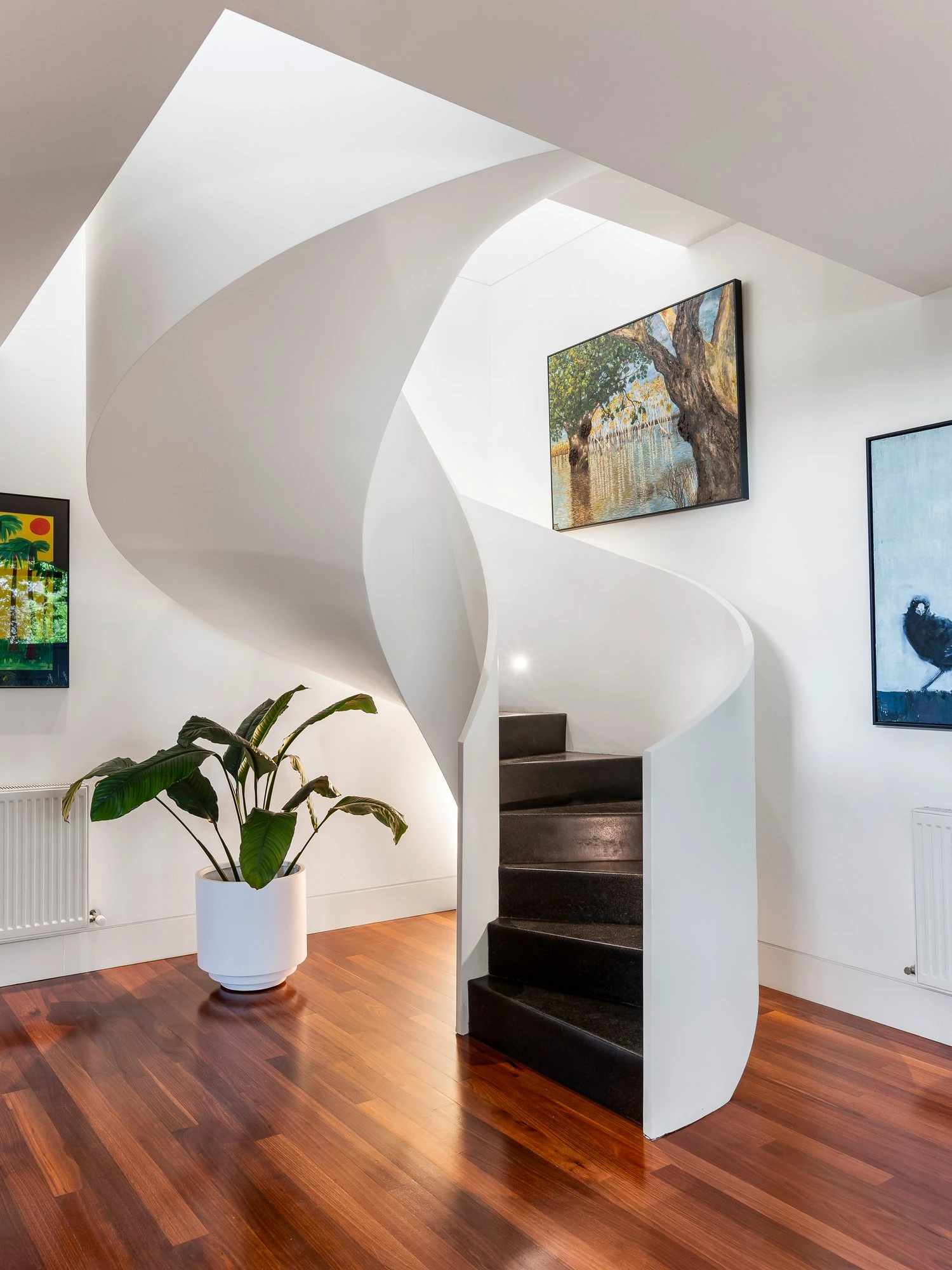 16 Ruyton Street, Camberwell, 3124