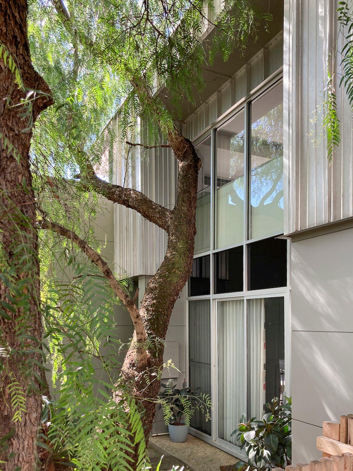 2 Peppercorn Place, Surrey Hills, 3127