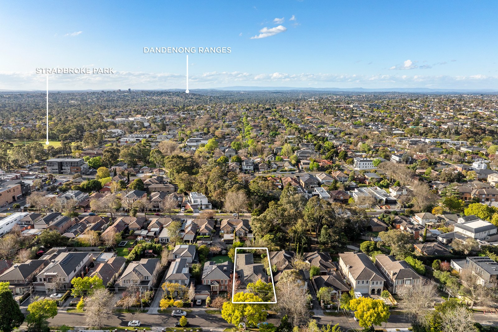 21 Birdwood Street, Balwyn, 3103