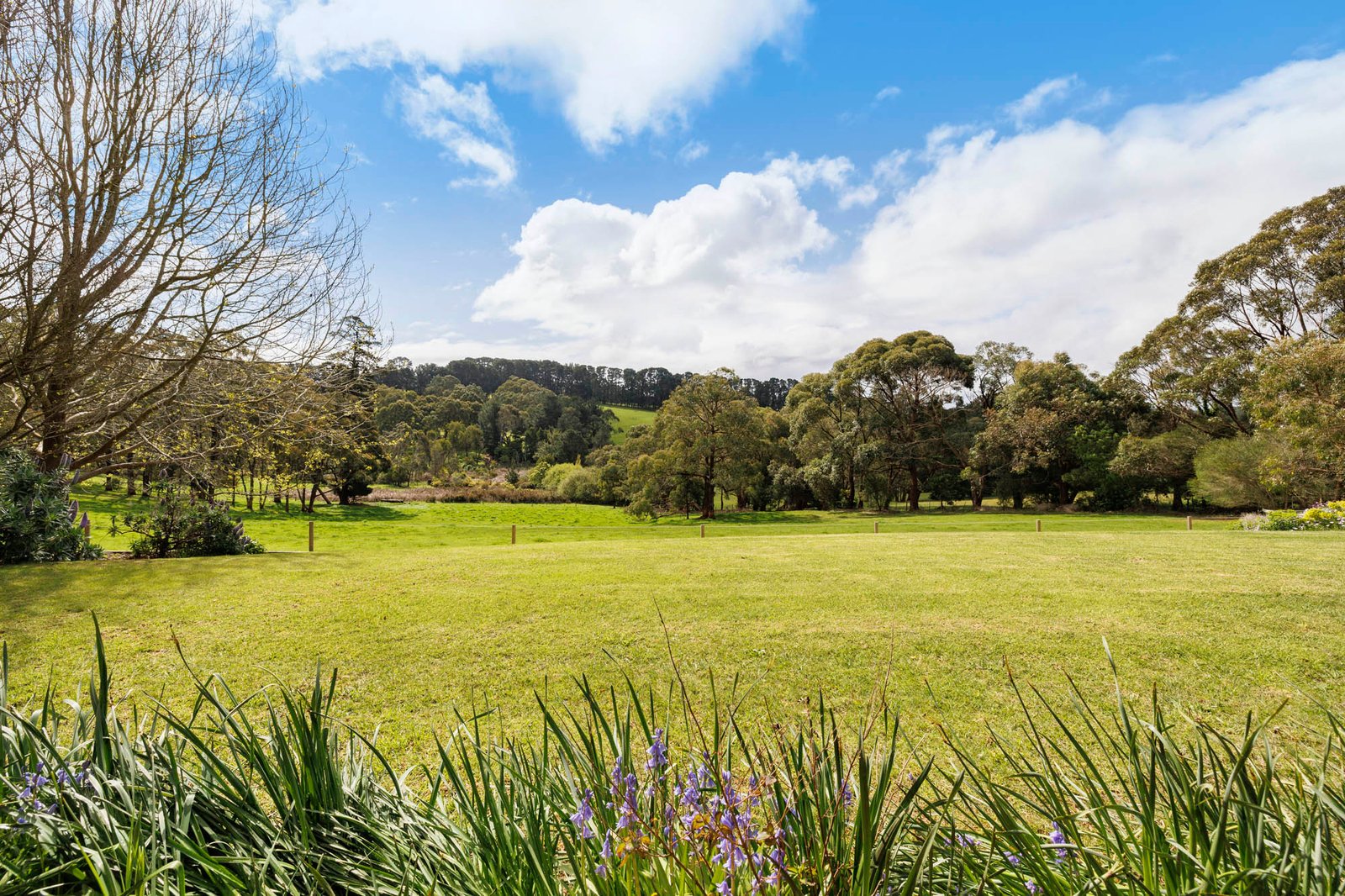 210 Red Hill Road, Red Hill, 3937