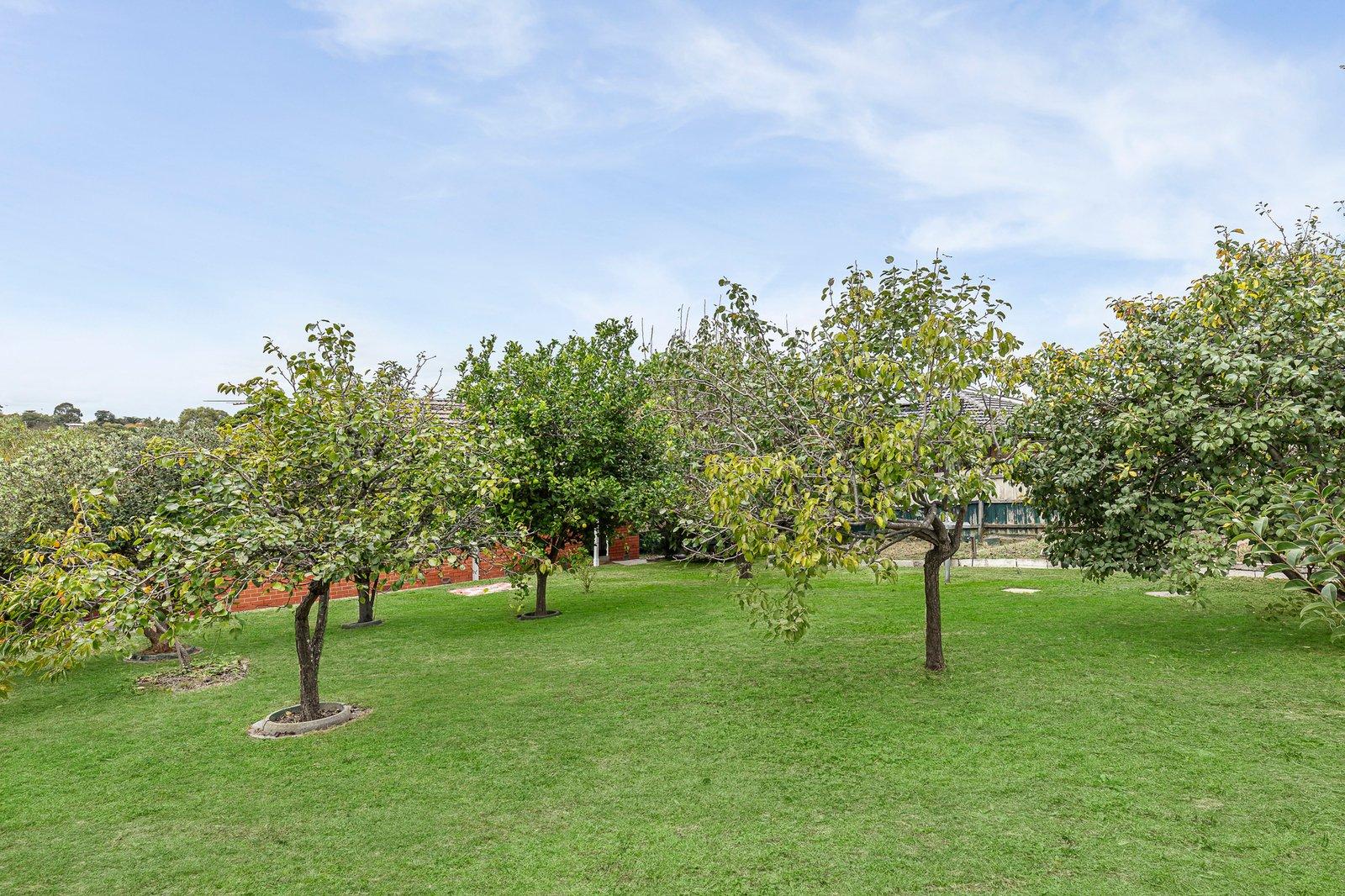 22 Barrington Drive, Ashwood, 3147
