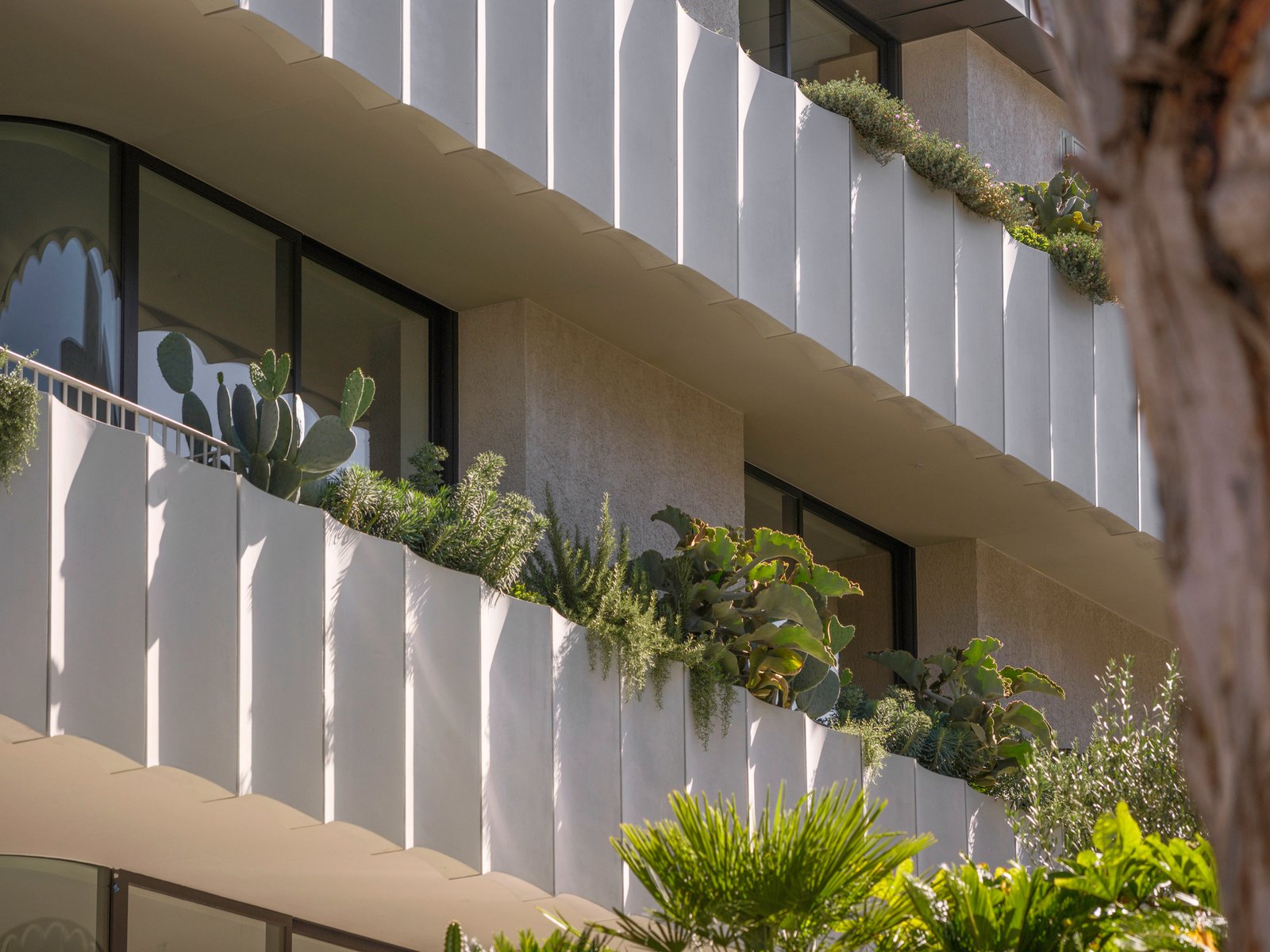 3, 17 Avoca Street, South Yarra, 3141