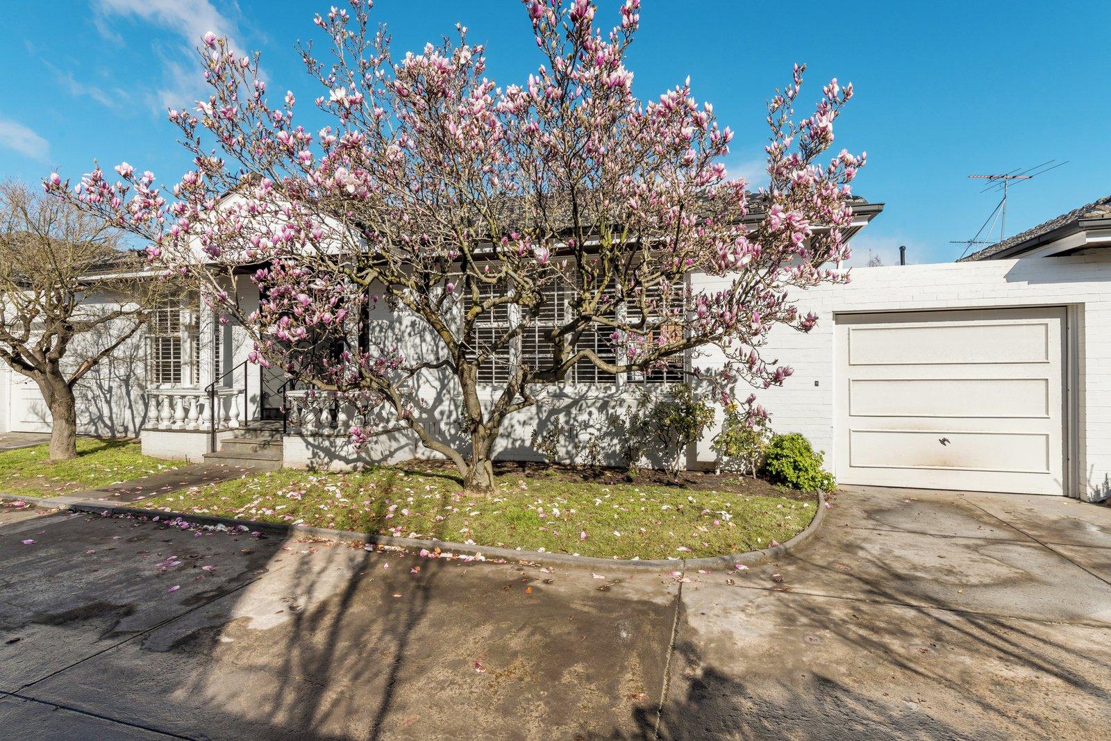 3/22 Mercer Road, Armadale, 3143