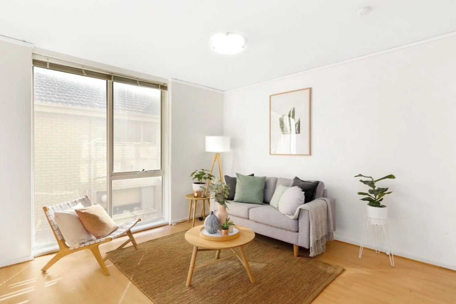 3/4 Greig Court, Elwood, 3184