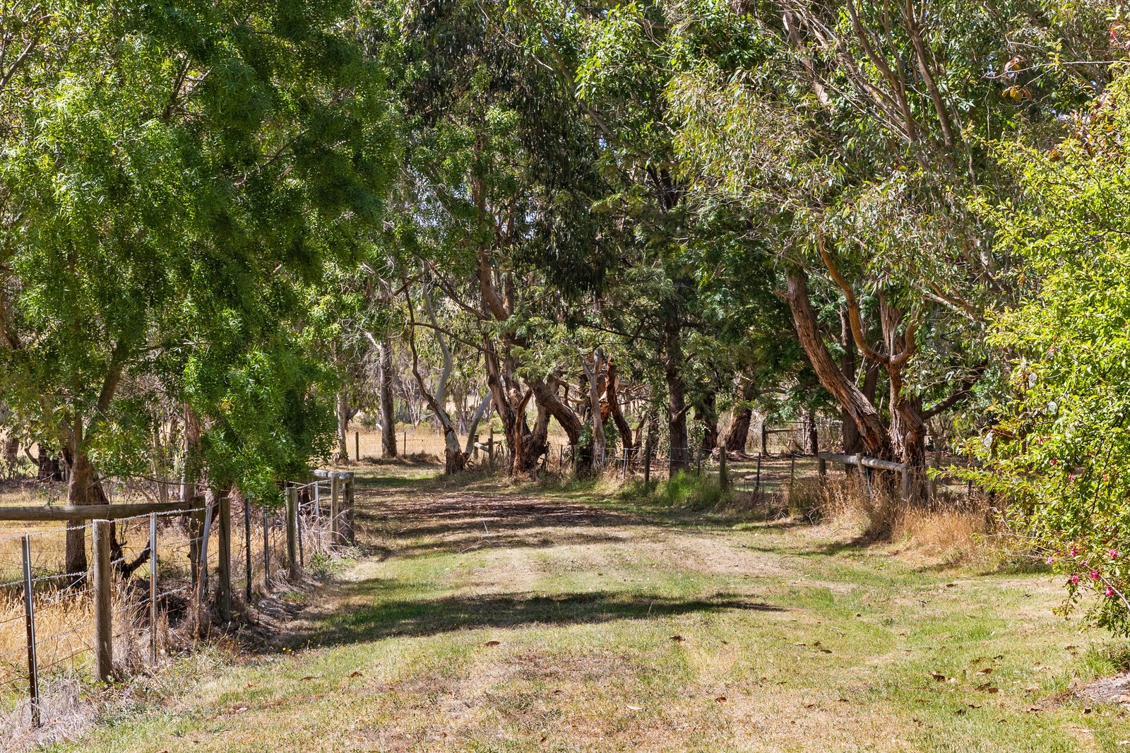 3650 Frankston Flinders Road, Merricks, 3916