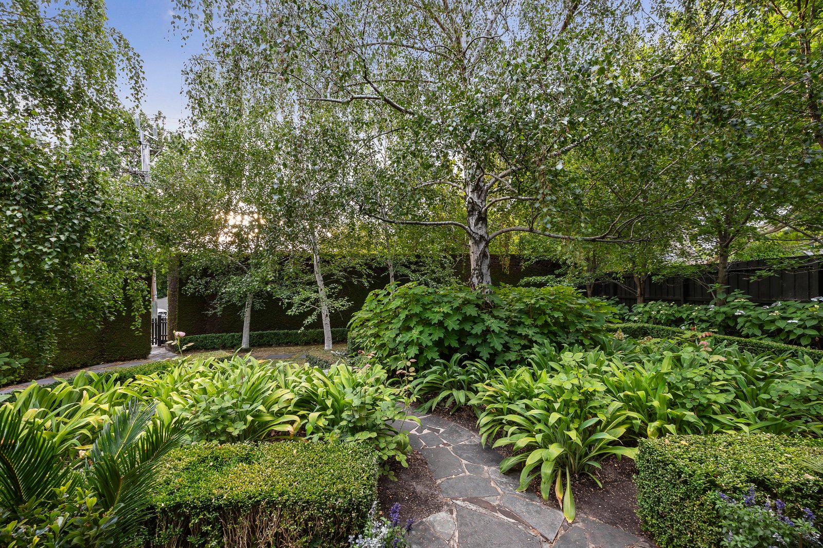 38 Highfield Road, Canterbury, 3126