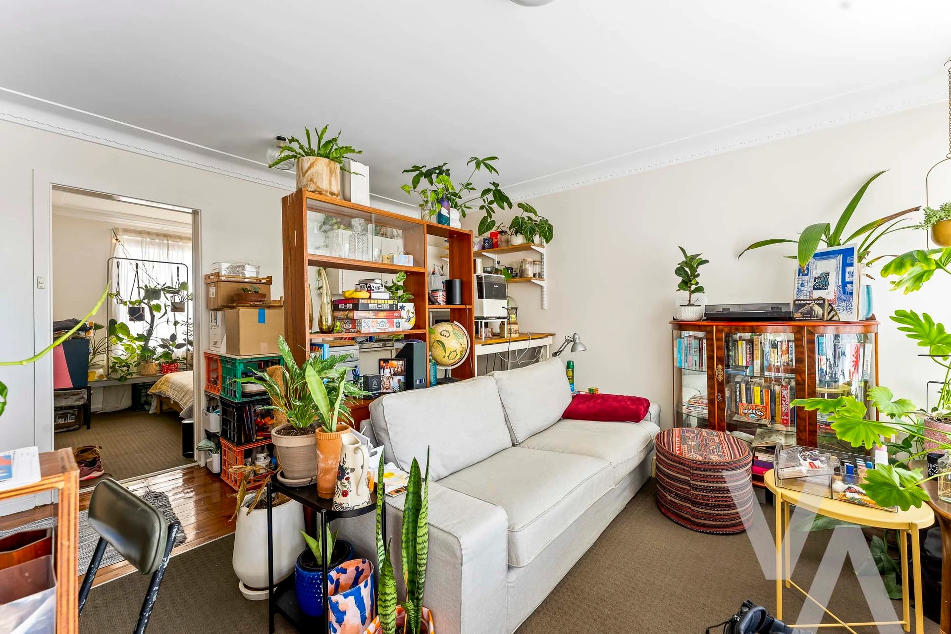 2C Morgan Street Adamstown NSW