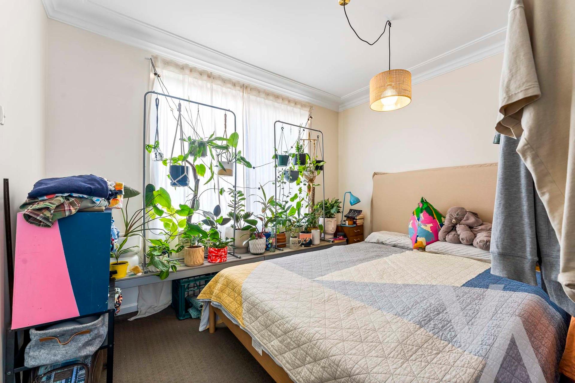 2C Morgan Street Adamstown NSW