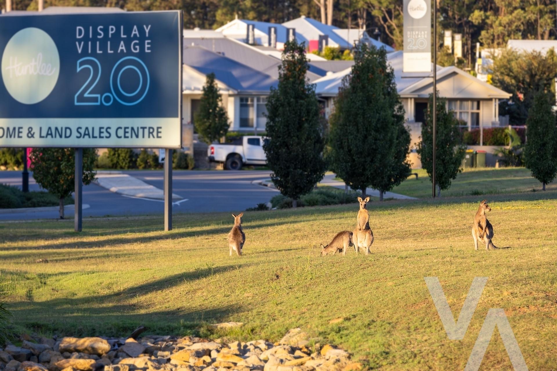 3 Cheetham Crescent North Rothbury NSW
