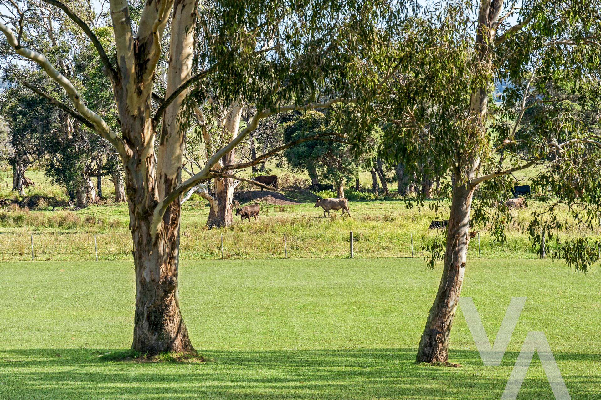 12 Sanctuary Place Wallalong NSW