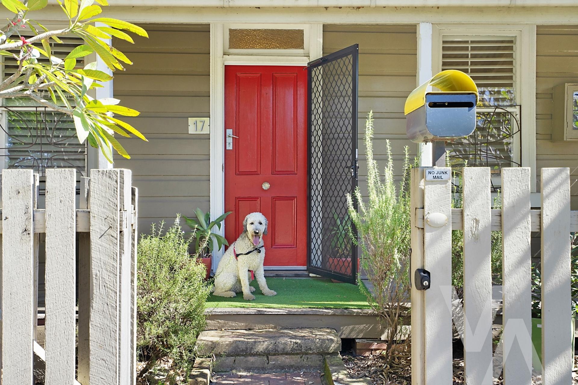 17 Denison Street Carrington NSW
