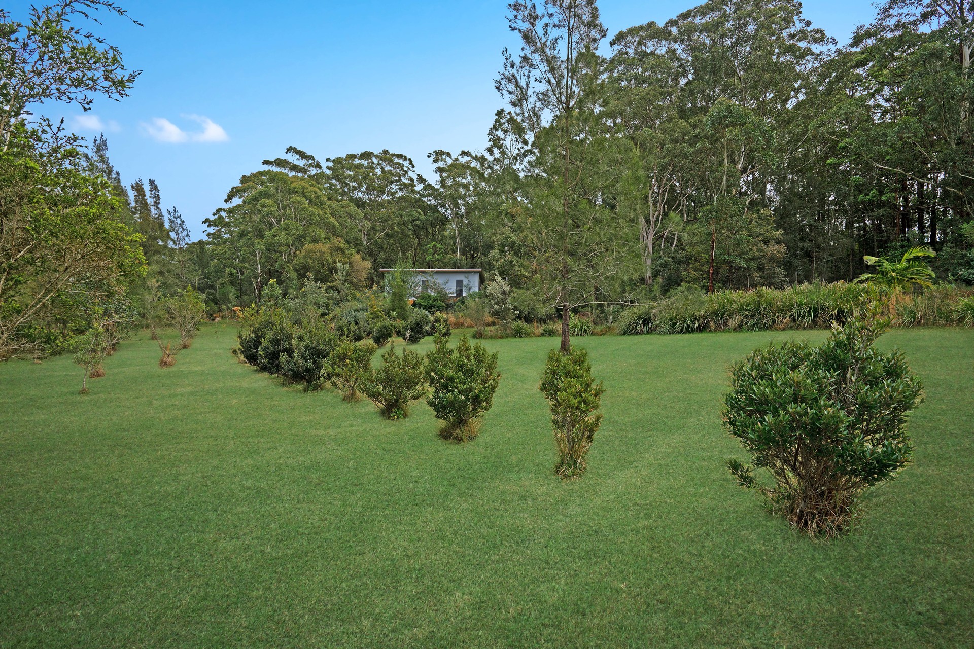 Lot 101, Seal Rocks Road, Seal Rocks Seal Rocks NSW