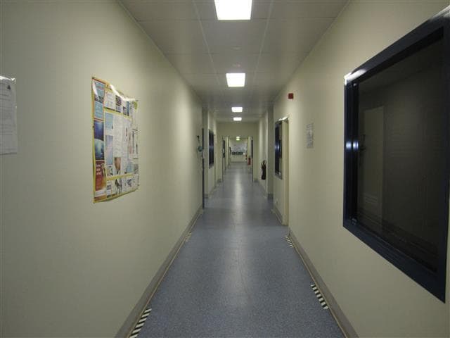 WARABROOK, NSW, 2304