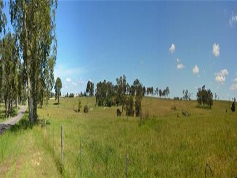WALLALONG, NSW, 2320
