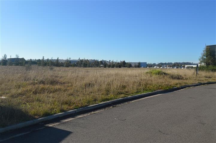 20 Mustang Drive RUTHERFORD NSW