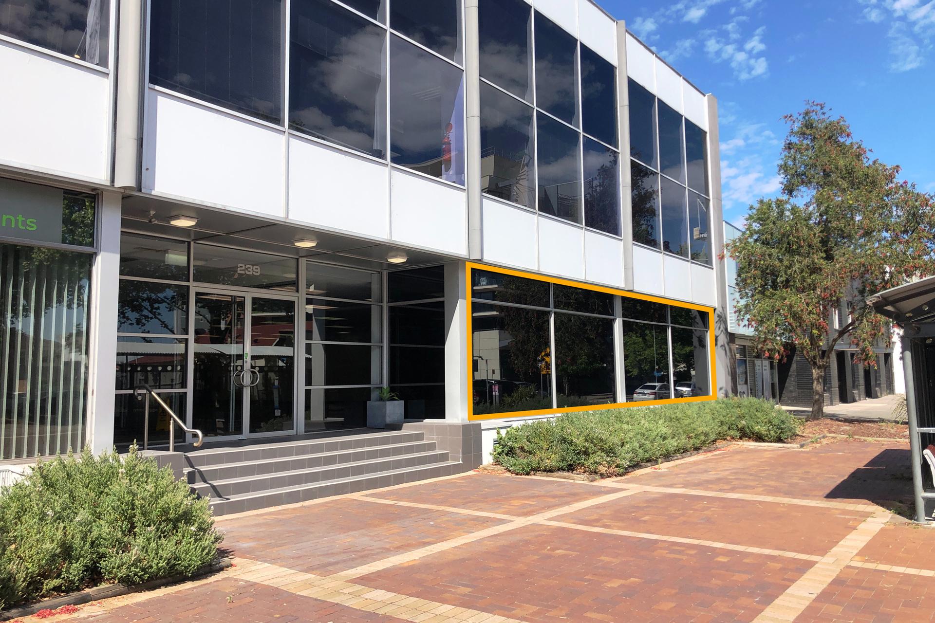 Suite 2/239 King Street Newcastle NSW