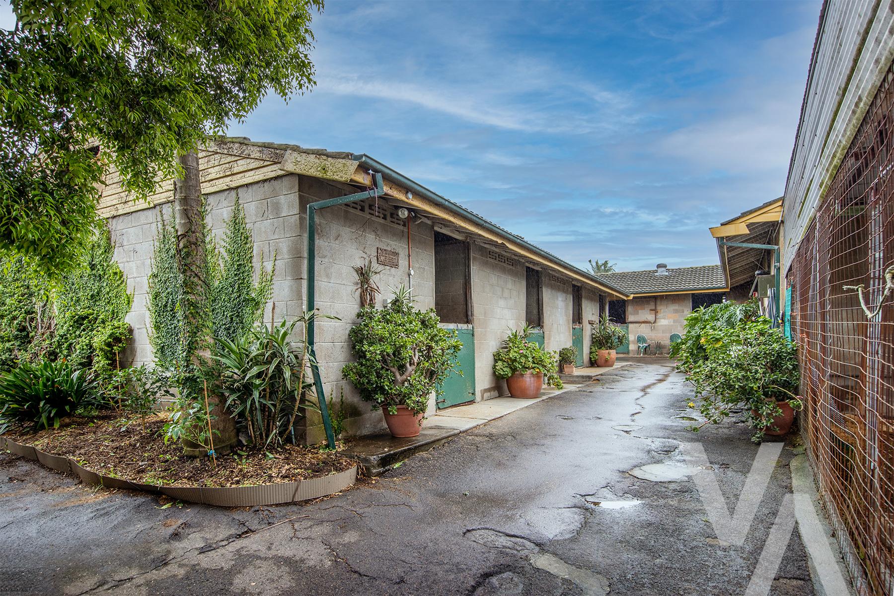 196 Chatham Street Hamilton South NSW
