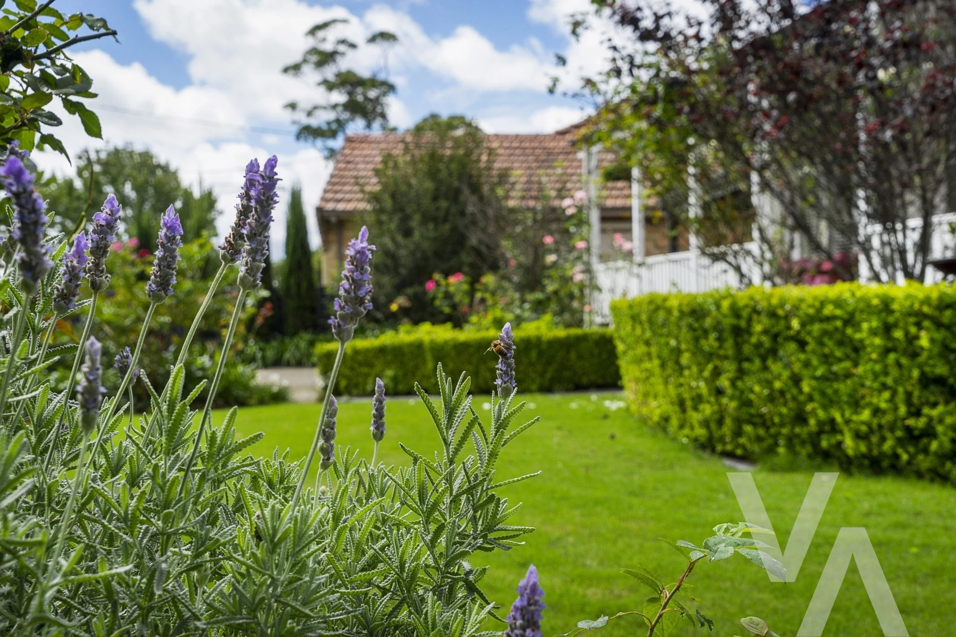 119 Rae Crescent Kotara NSW