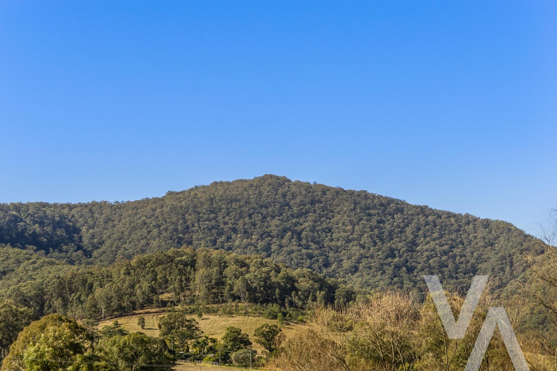 52 Child Street Mulbring NSW