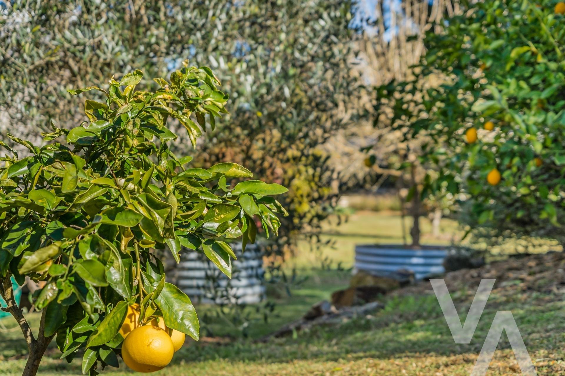 52 Child Street Mulbring NSW