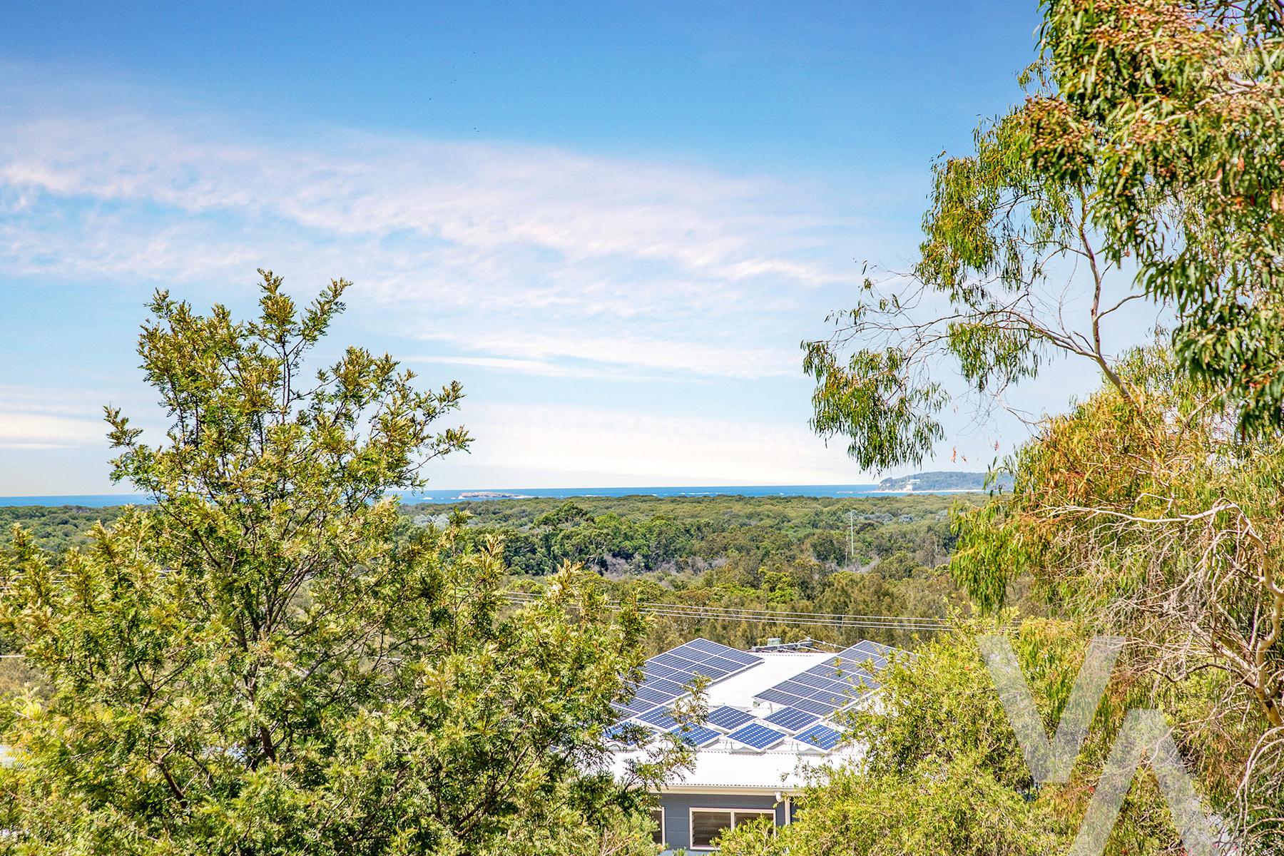 11 Pinnaroo Close Belmont North NSW