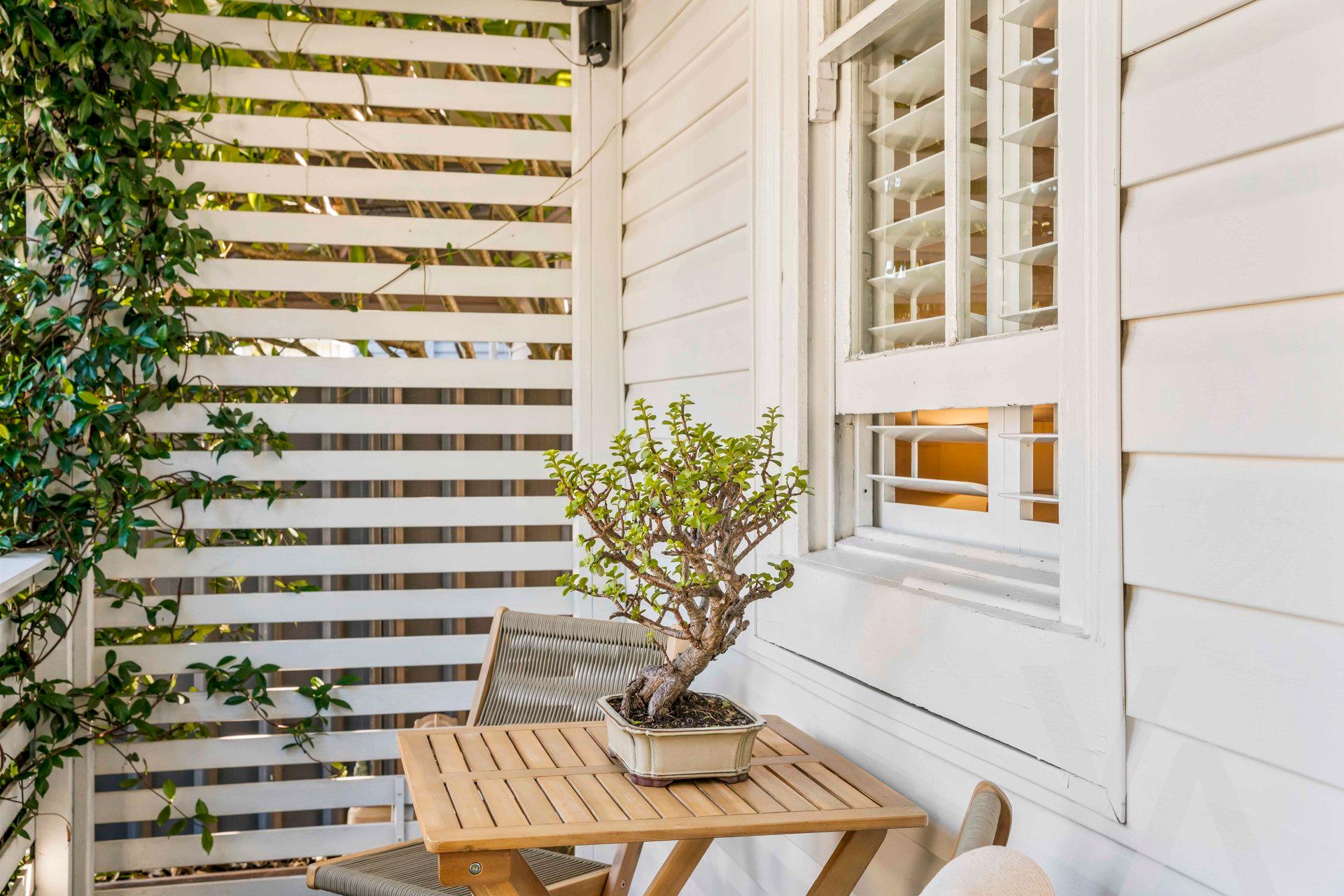 38 Denison Street Carrington NSW