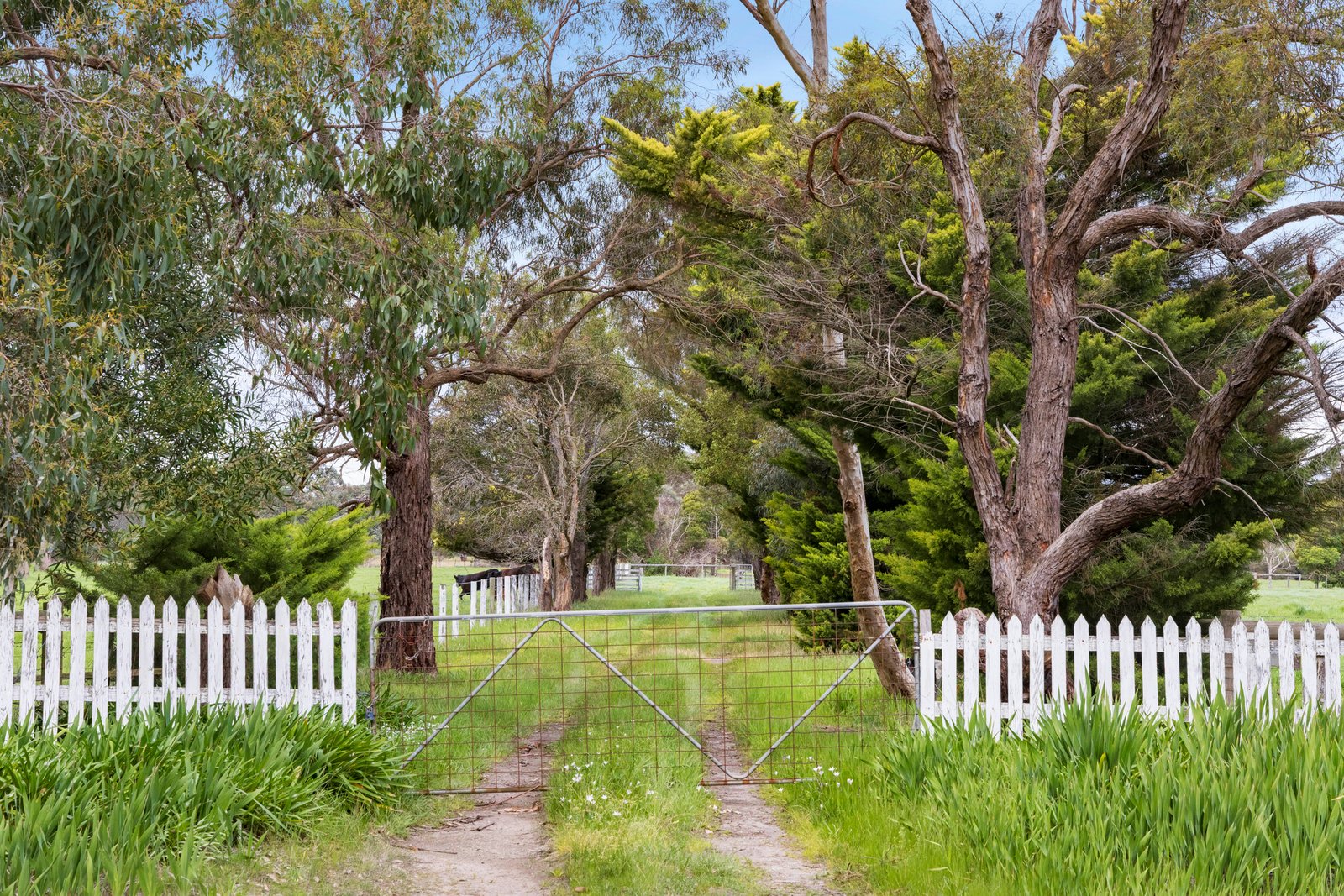 1 Daniel Drive, Moorooduc, 3933