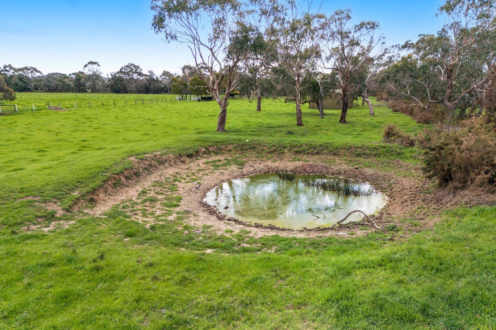 1 Daniel Drive, Moorooduc, 3933