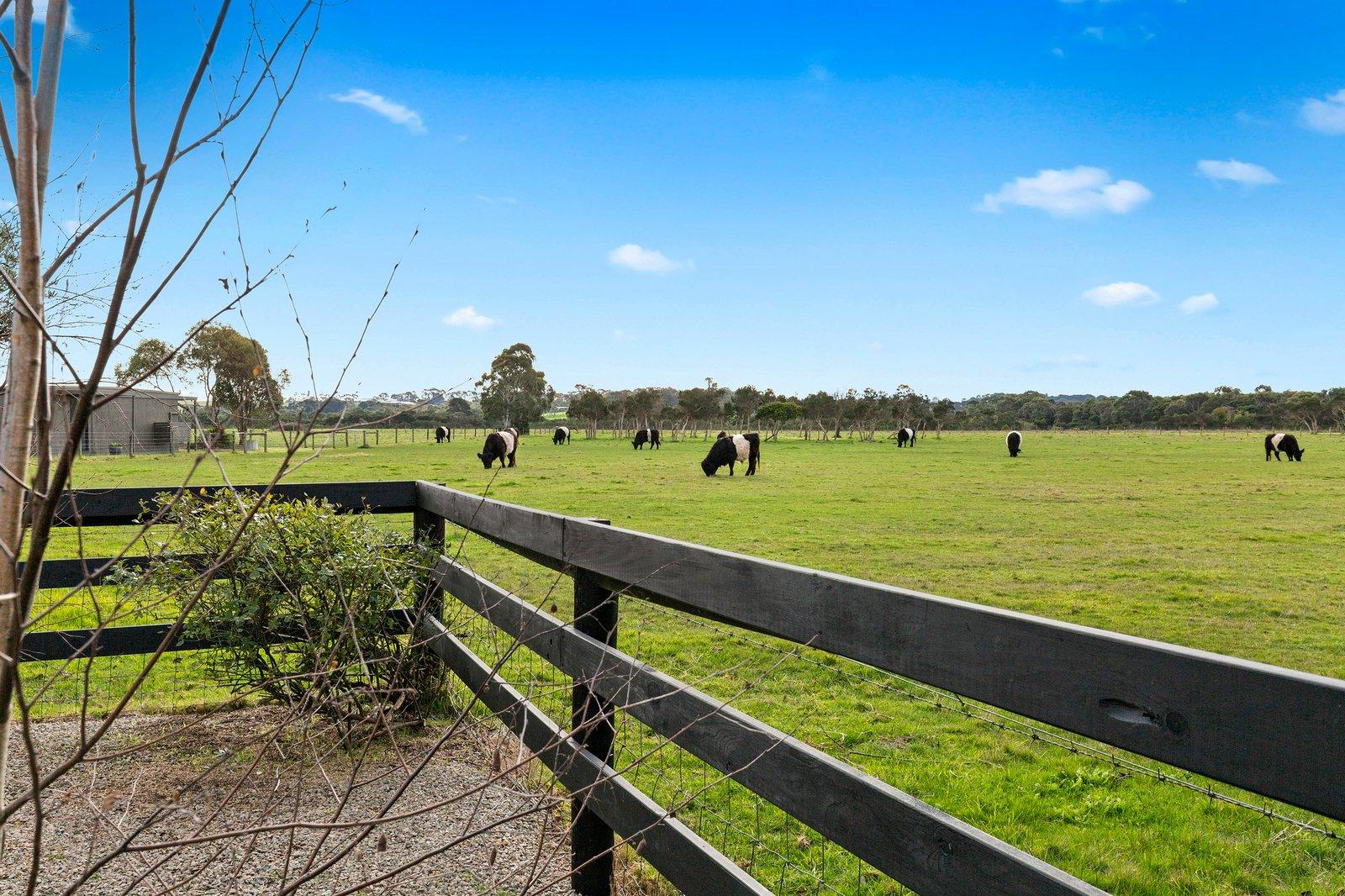 10 Bayview Road, Balnarring Beach, 3926