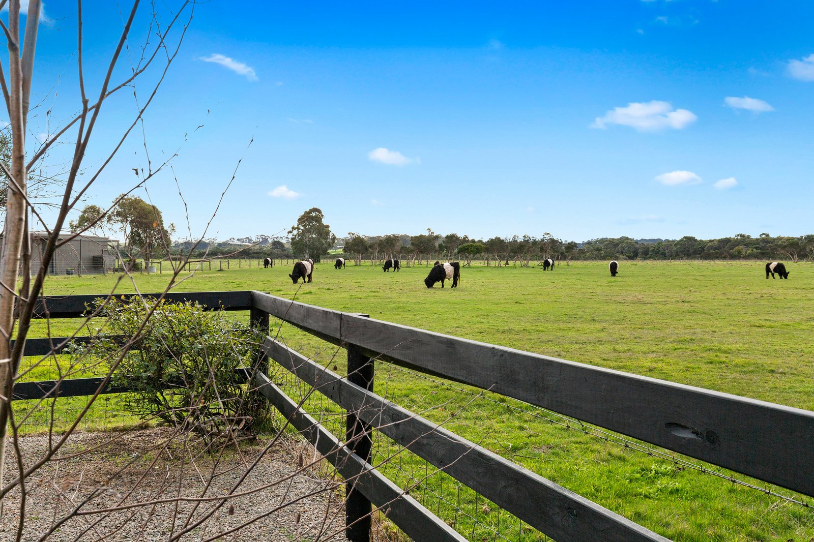 10 Bayview Road, Balnarring Beach, 3926