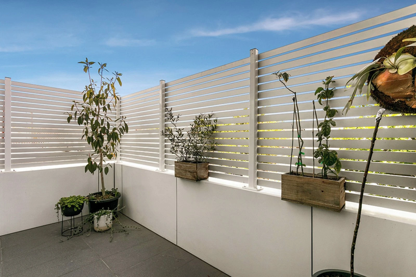 101/37 Dow Street, South Melbourne, 3205