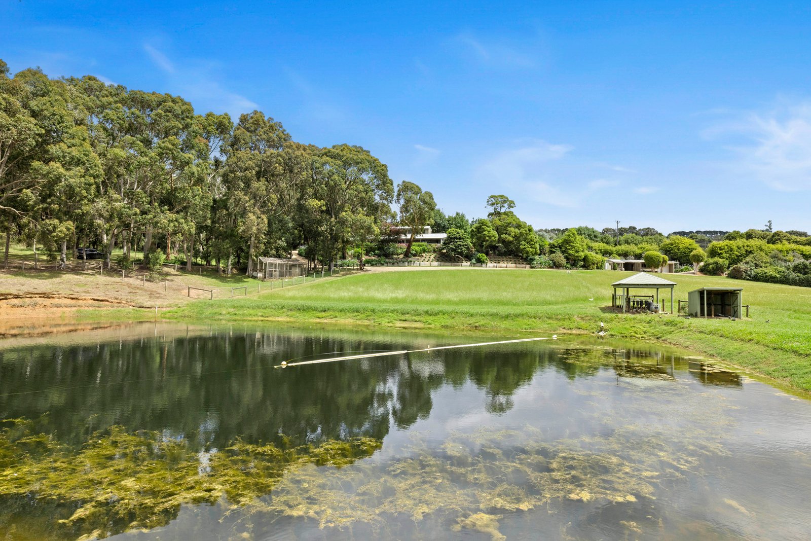 109 Mcilroys Road, Red Hill, 3937