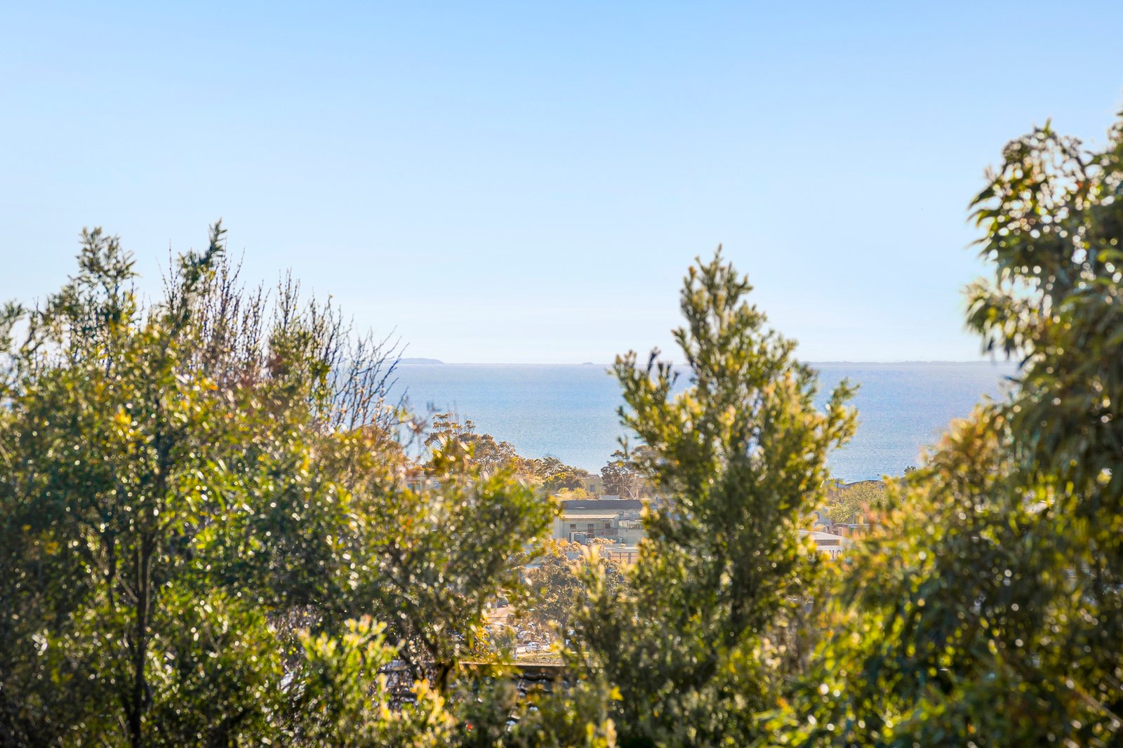 11 Balcombe Street, Mornington, 3931