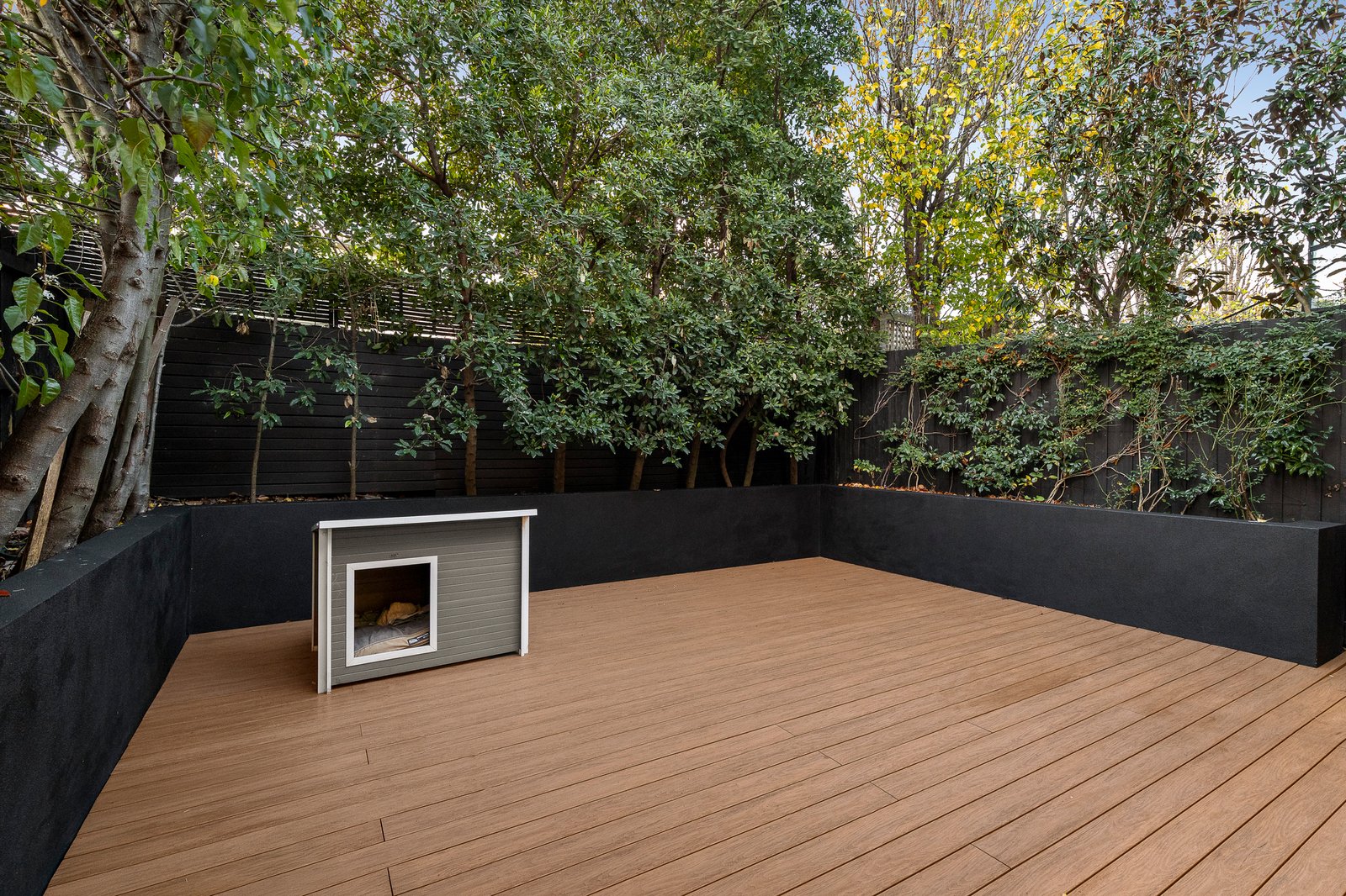 11 Howitt Street, Glen Iris, 3146