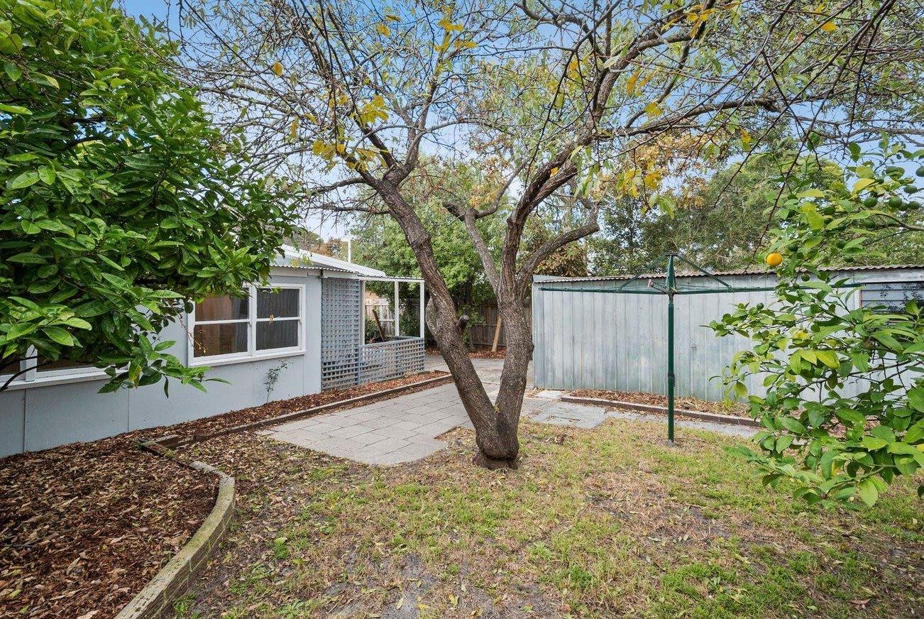 124 Foam Street, Rosebud, 3939