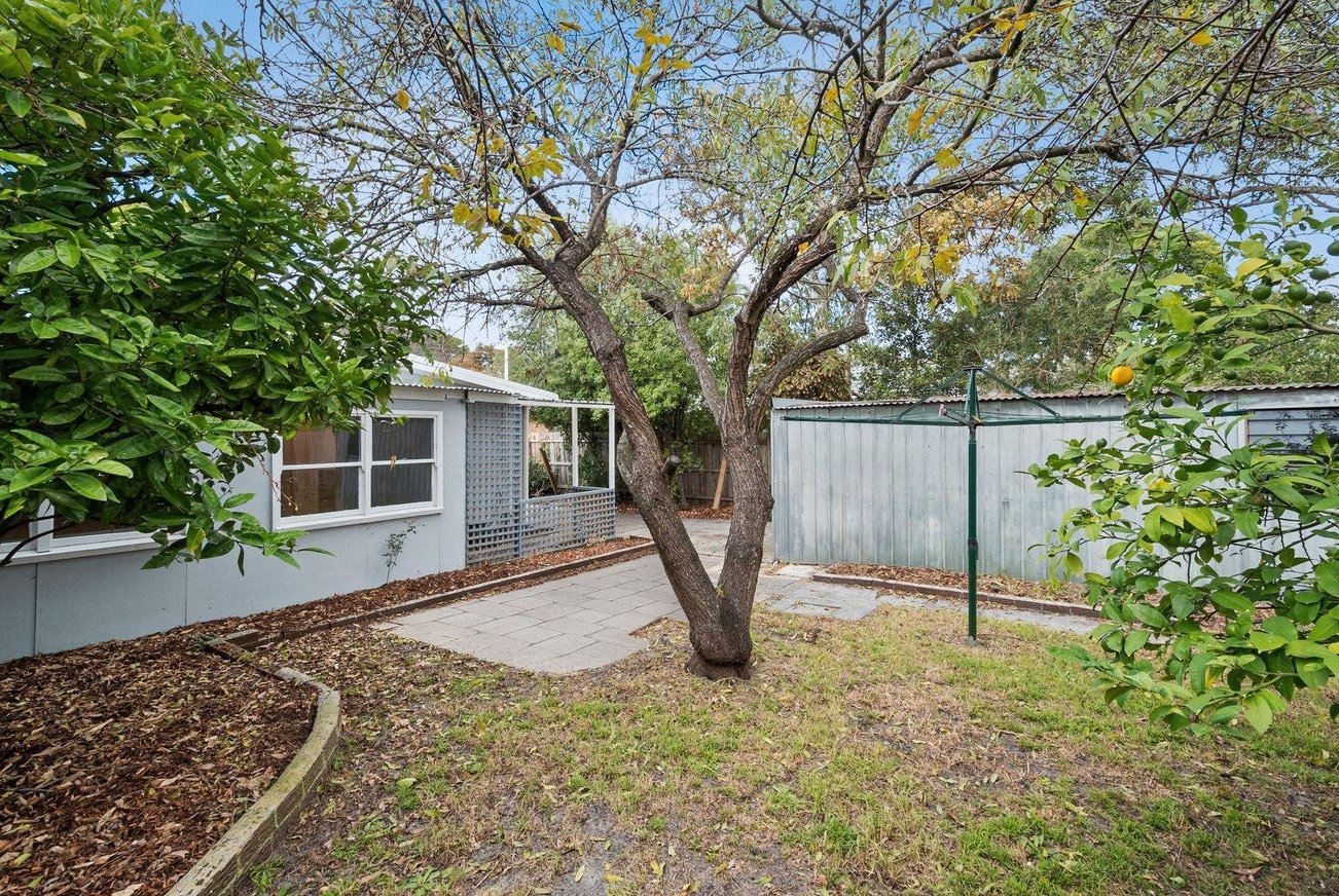124 Foam Street, Rosebud, 3939