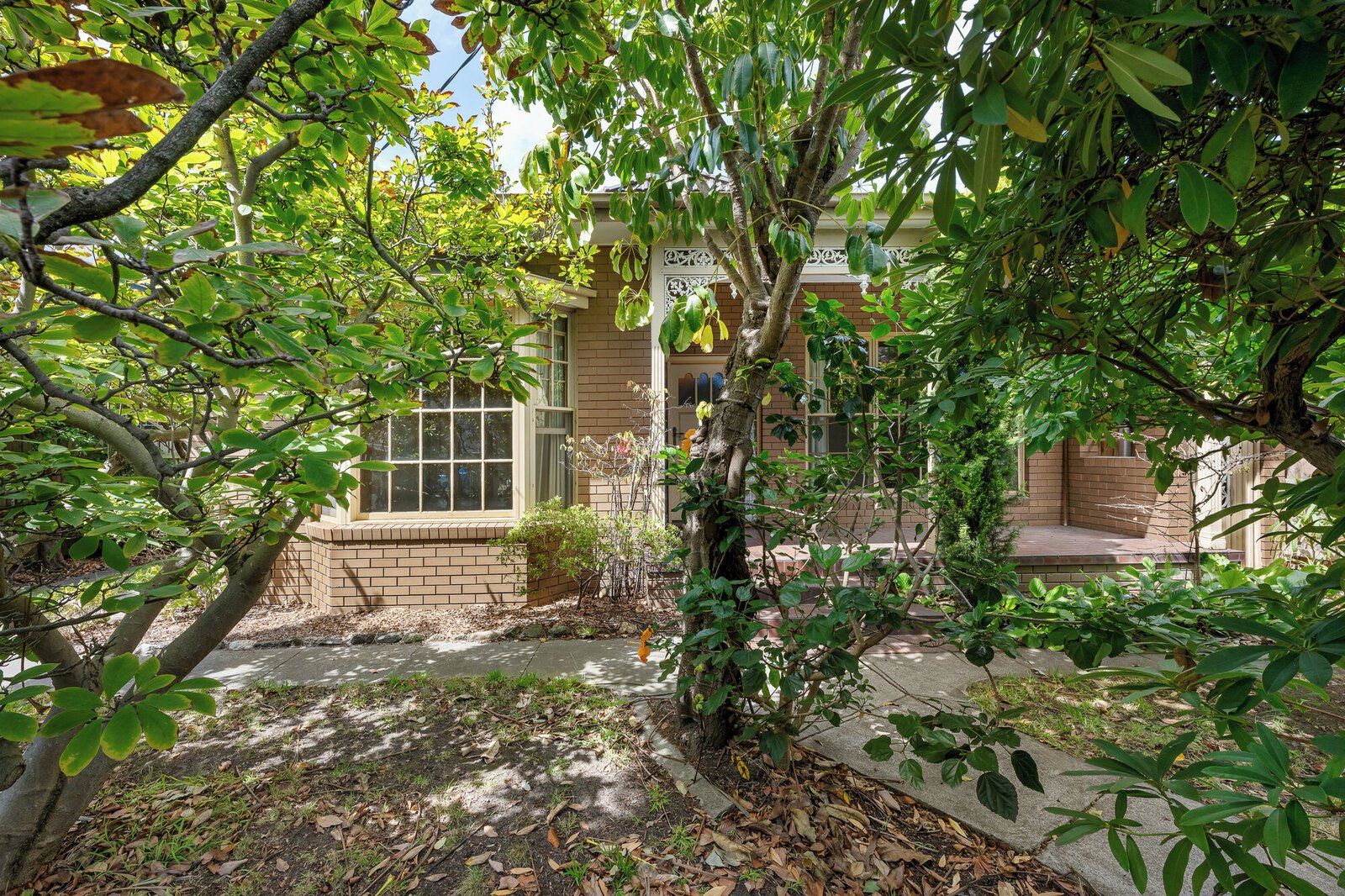 126 Cochrane Street, Brighton, 3186