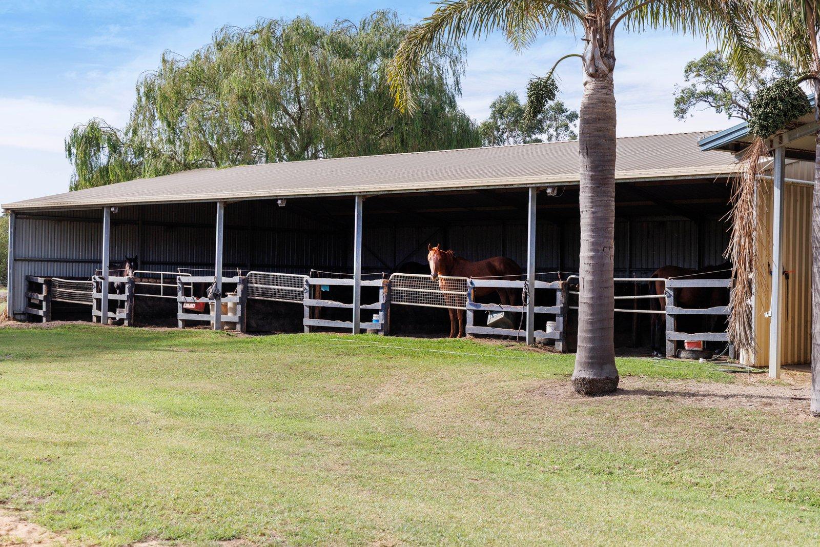 1266 Stumpy Gully Road, Moorooduc, 3933
