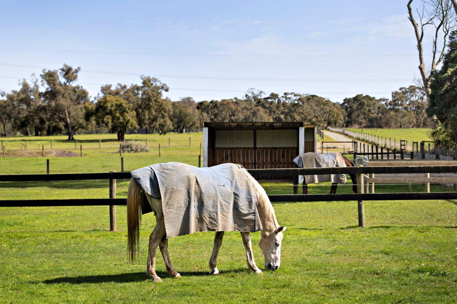 191-193 Smiths Lane, Cranbourne South, 3977