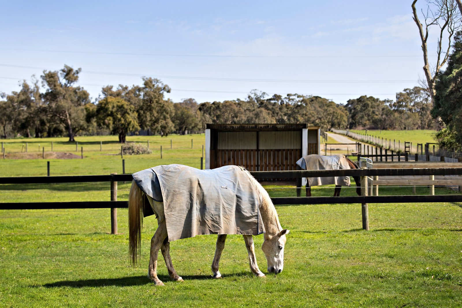 191-193 Smiths Lane, Cranbourne South, 3977